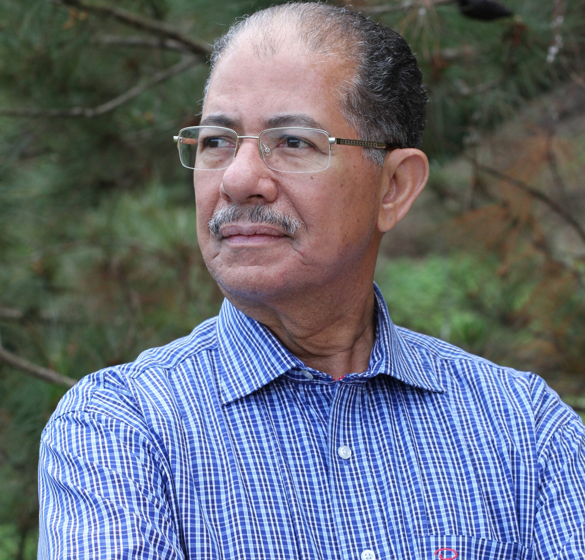 José Alcántara Almánzar