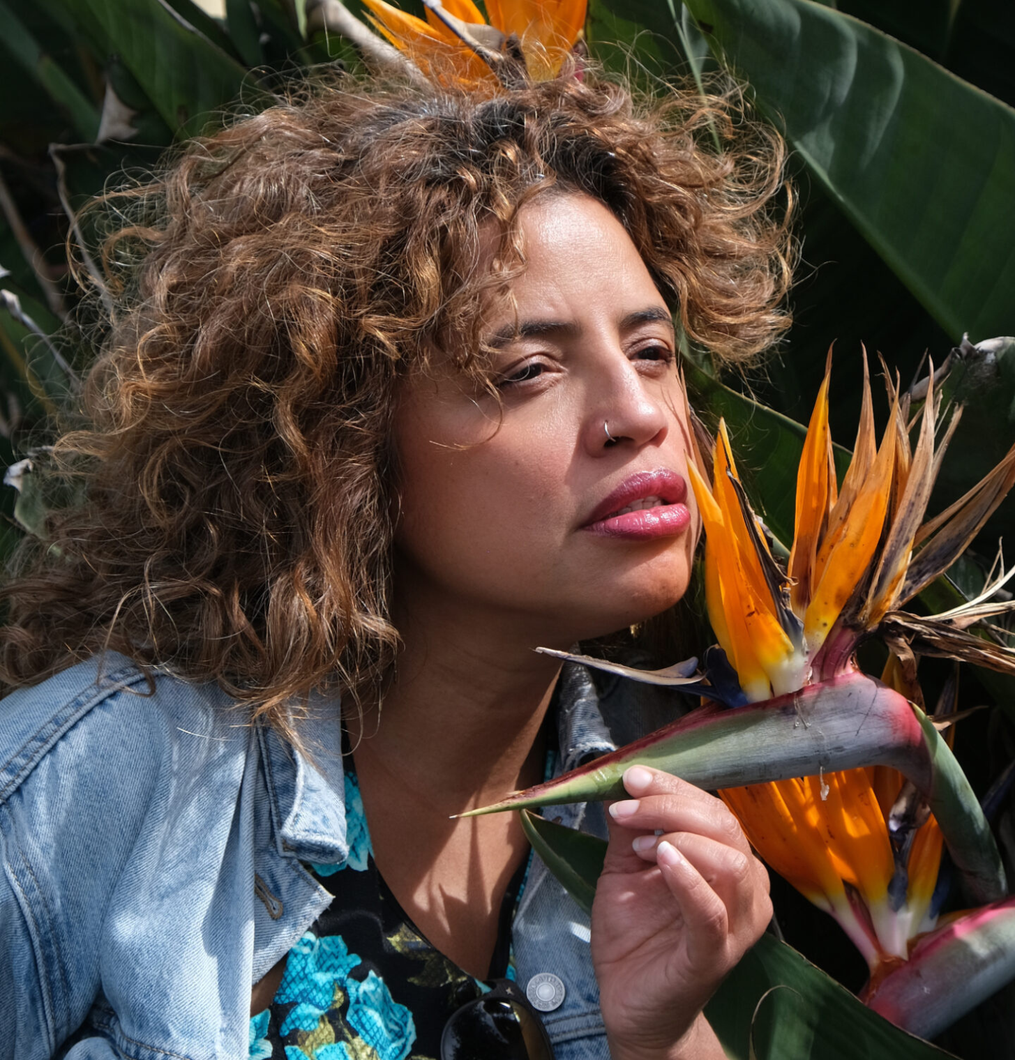 Lilián Pallares