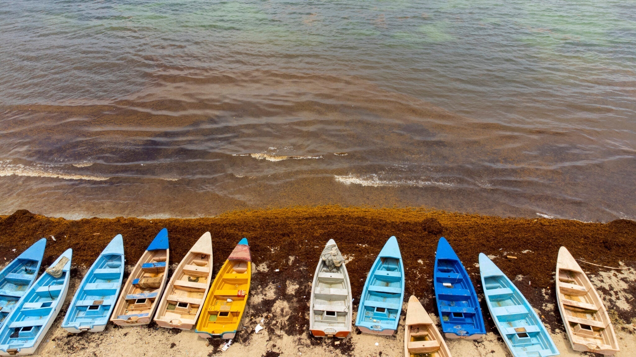 La guerra del sargazo | Cuenta Centroamérica