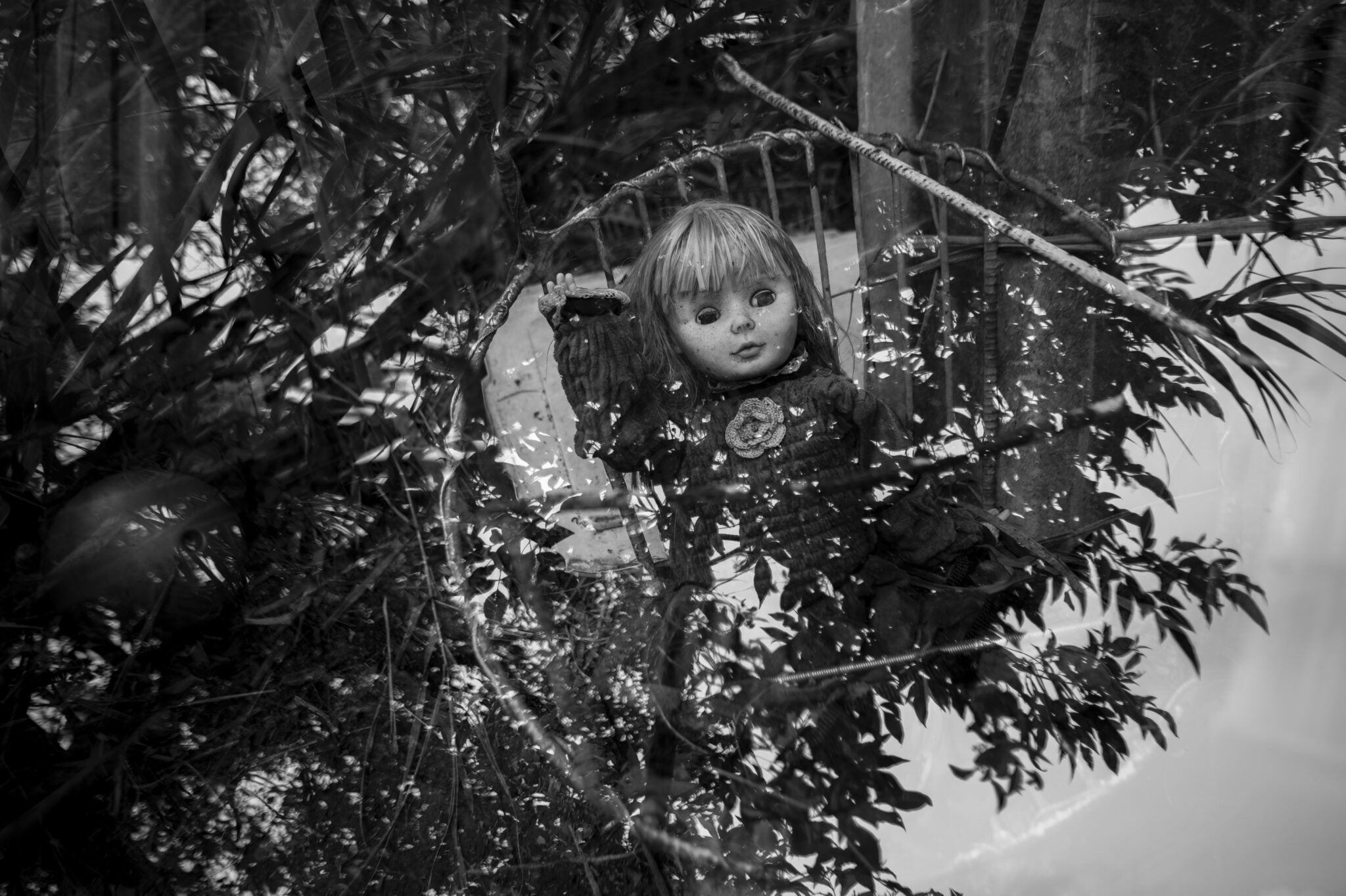 El tesoro de Wilson | Cuenta Centroamérica